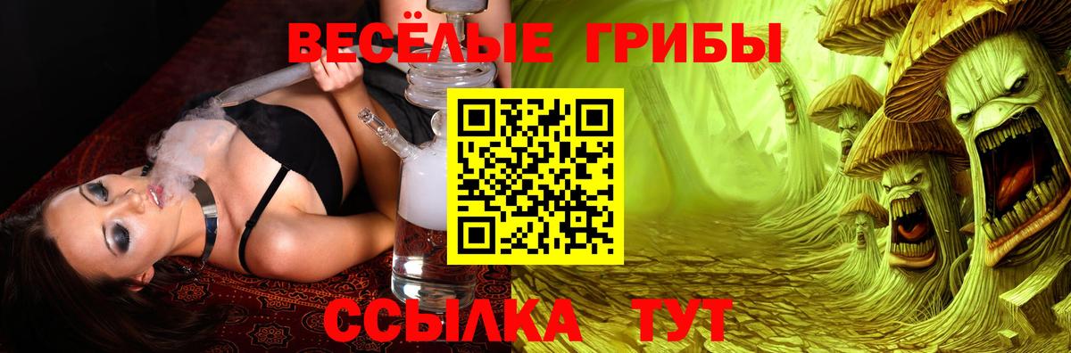 Псилоцибиновые грибы мицелий Азов